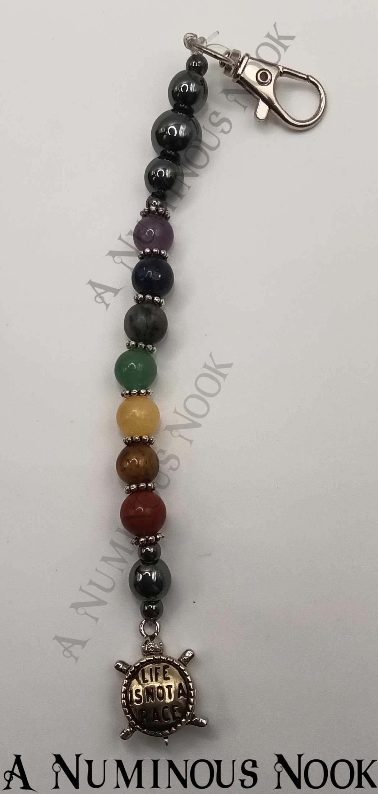 Life is not a race turtle chakra clip