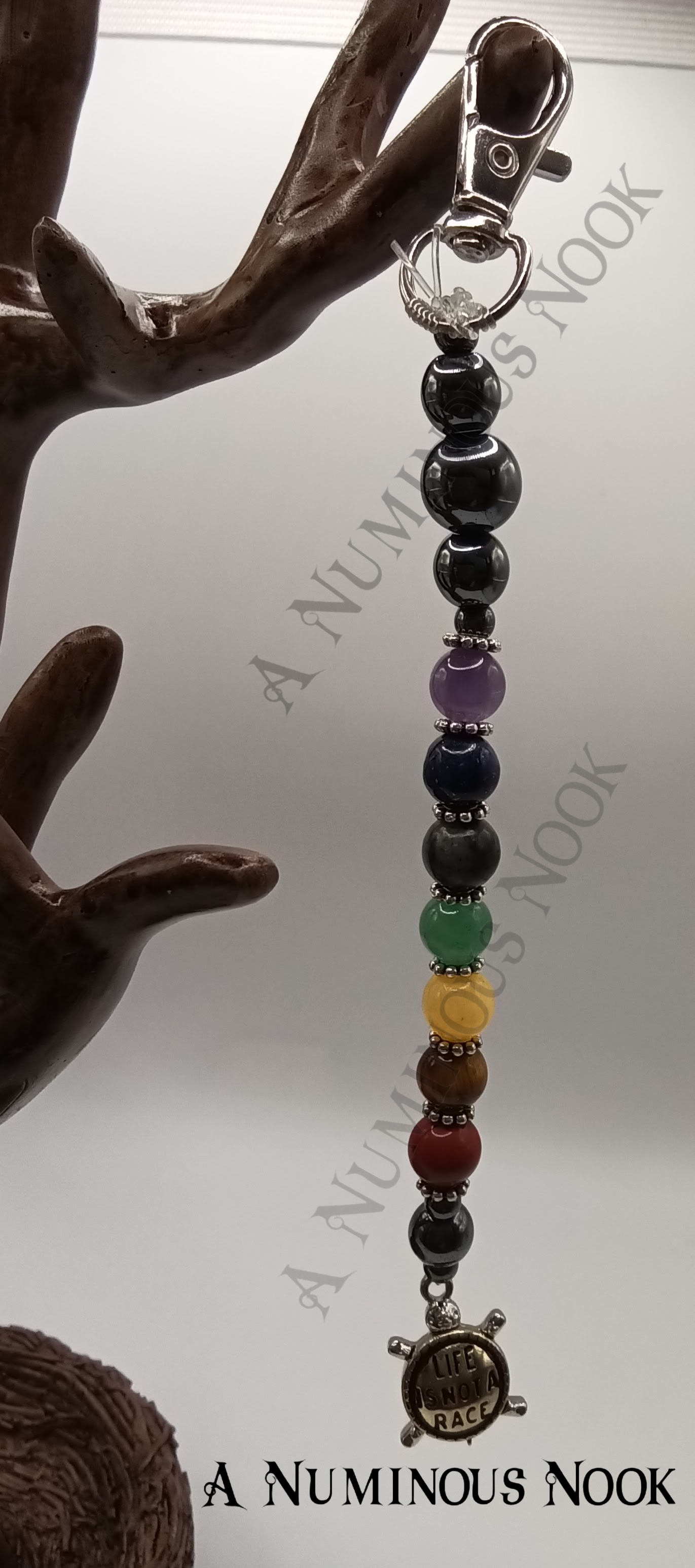 Life is not a race turtle chakra clip